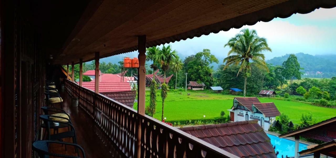 Toraja Torsina Hotel Rantepao Exteriér fotografie