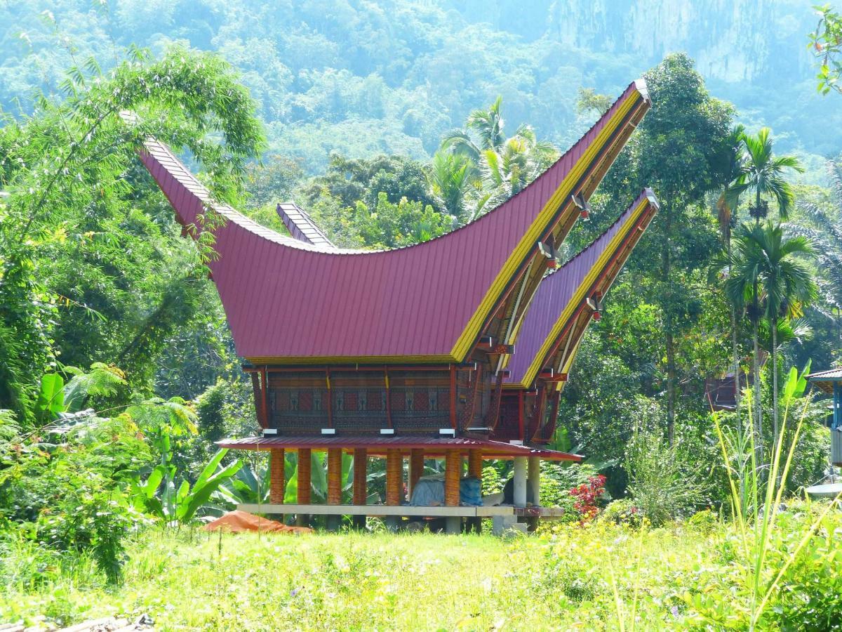 Toraja Torsina Hotel Rantepao Exteriér fotografie