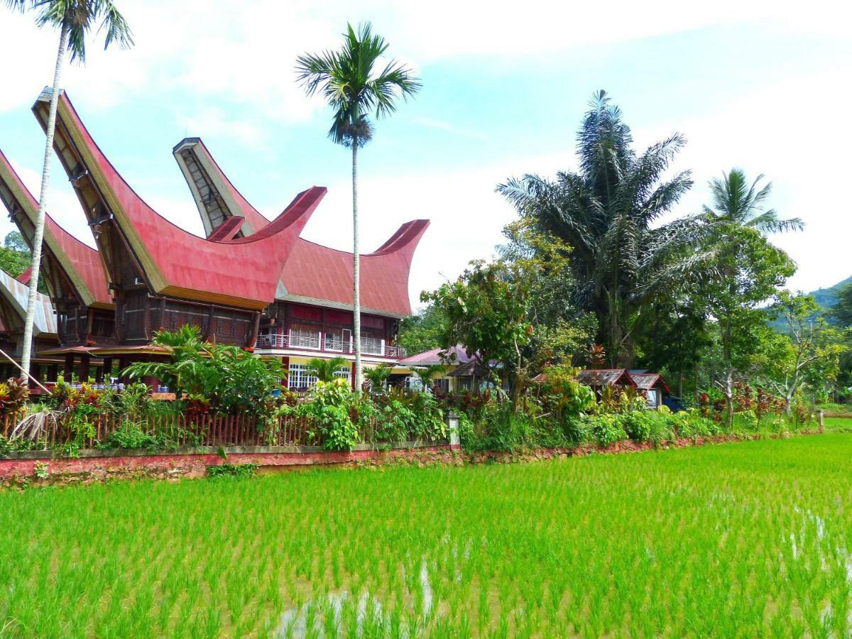 Toraja Torsina Hotel Rantepao Exteriér fotografie